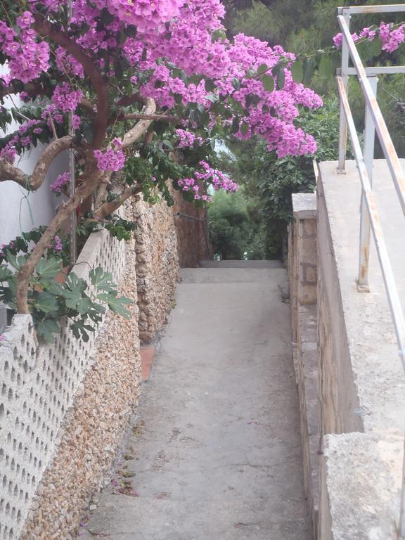 אומיס Apartments Villa Stari Koko מראה חיצוני תמונה